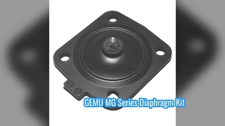 Kits de membrane GEMU MG8 MG10 MG25 MG40 MG50 MG65 MG80 MG100 EPDM FDA pour vannes à membrane GEMU
